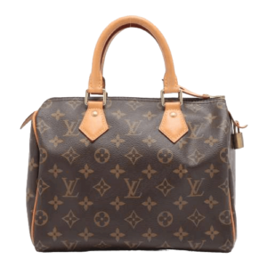 Sacs ALLU Louis Vuitton